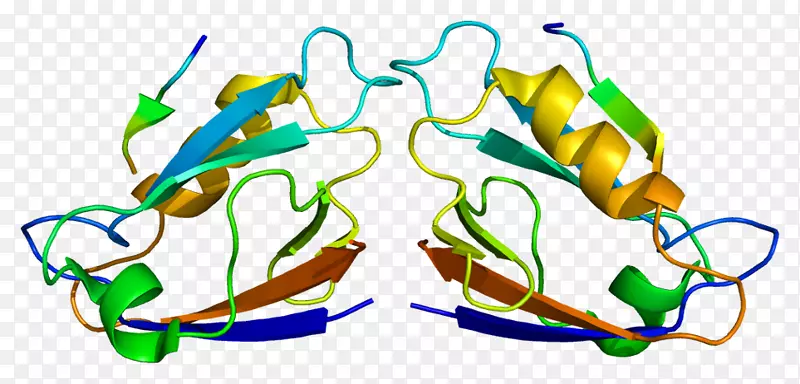 合成PDZ结构域膜相关鸟苷酸激酶蛋白