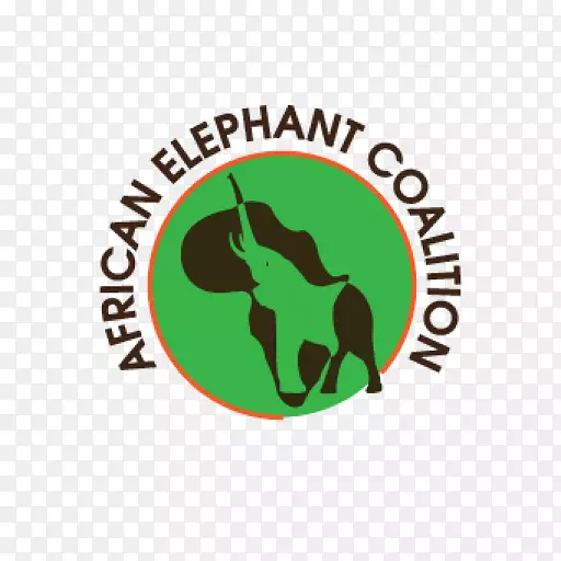 非洲象窃窃私语亚洲象-非洲