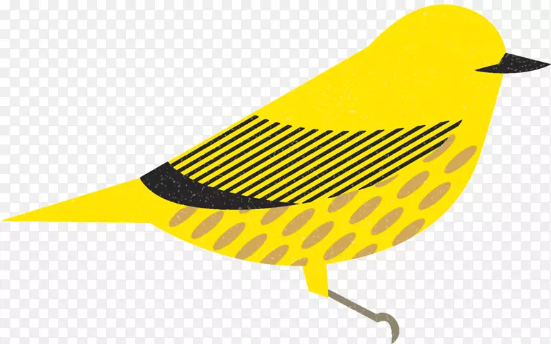 加拿大鸟喙插图图形设计