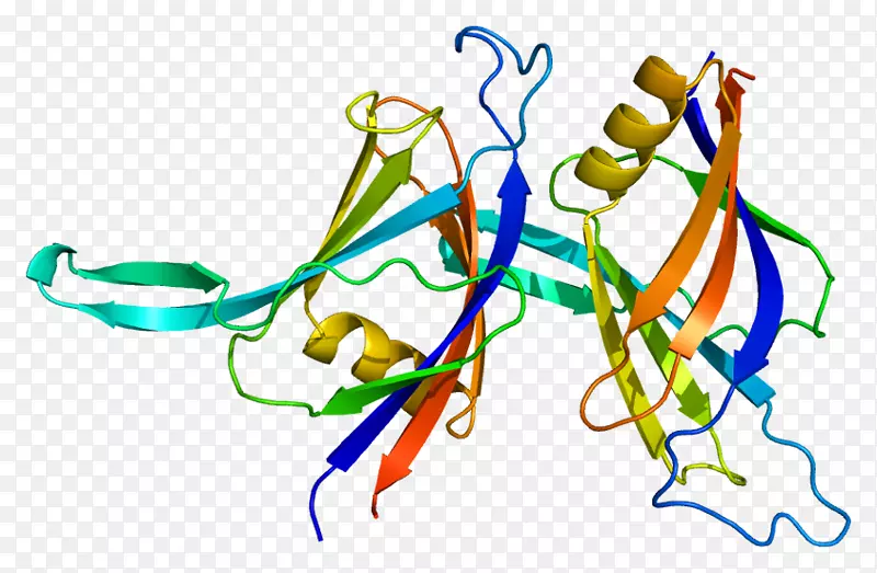 PRKCD prpf 3蛋白激酶核糖核蛋白