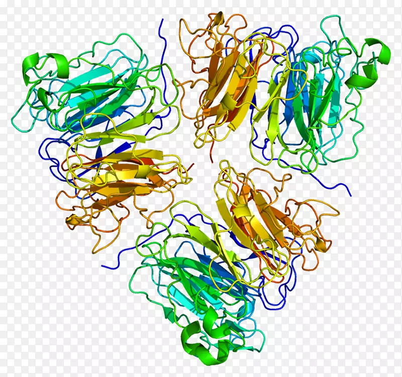 RCC 1含有鸟嘌呤核苷酸交换因子GTP结合蛋白调节因子