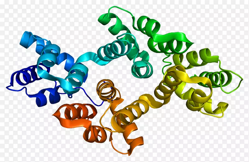 膜联蛋白a_2