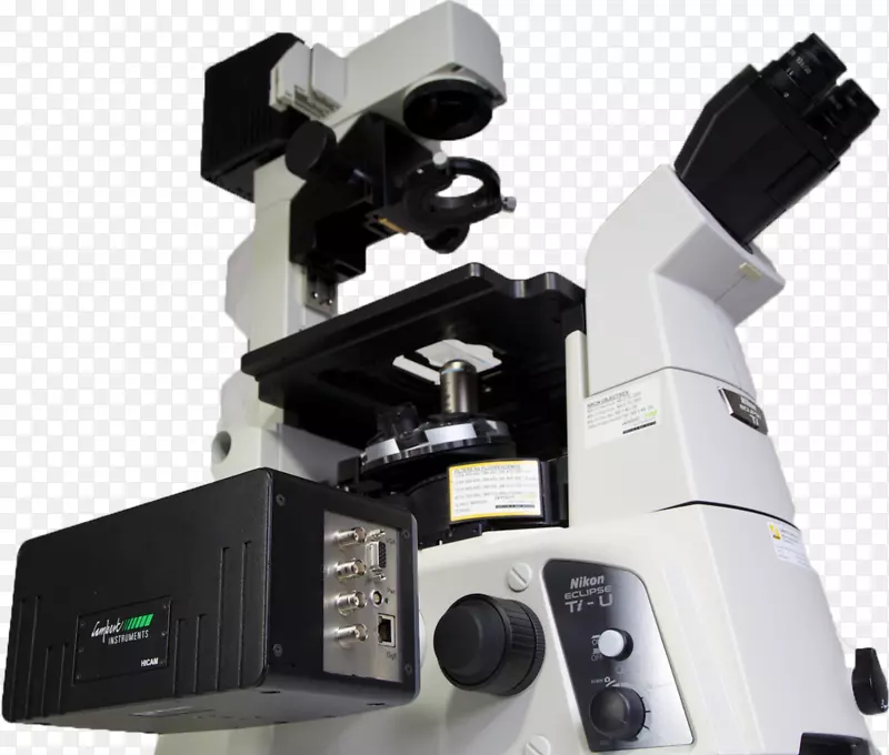 荧光显微镜，光学显微镜，共聚焦显微镜