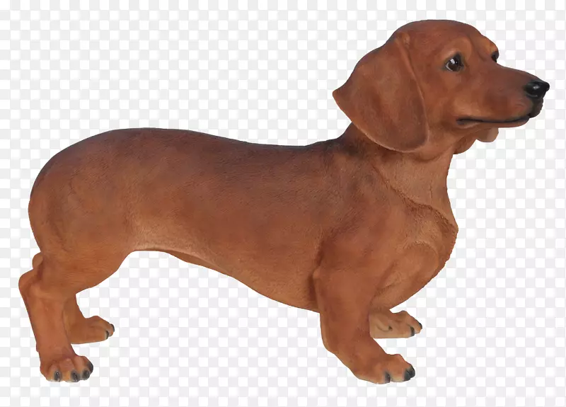 达克斯犬繁育更红骨的狗伴犬-达克斯犬符号