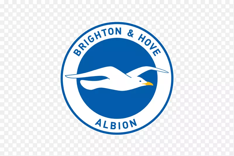 徽标Brighton&Hove Albion F.C.品牌组织