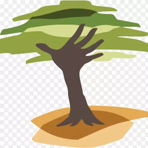 伊甸园再造林计划植树非牟利机构-森林