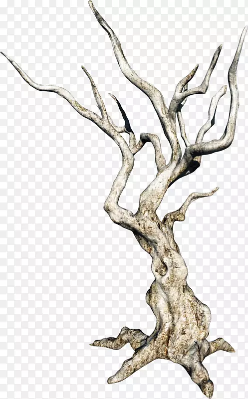 树枝可移植网络图形图像小枝树