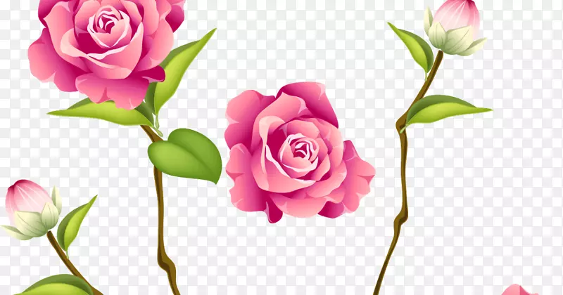 玫瑰剪贴画粉红花卉设计-玫瑰