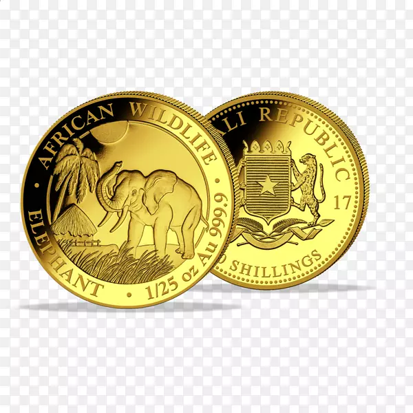 索马里非洲象银币-大象