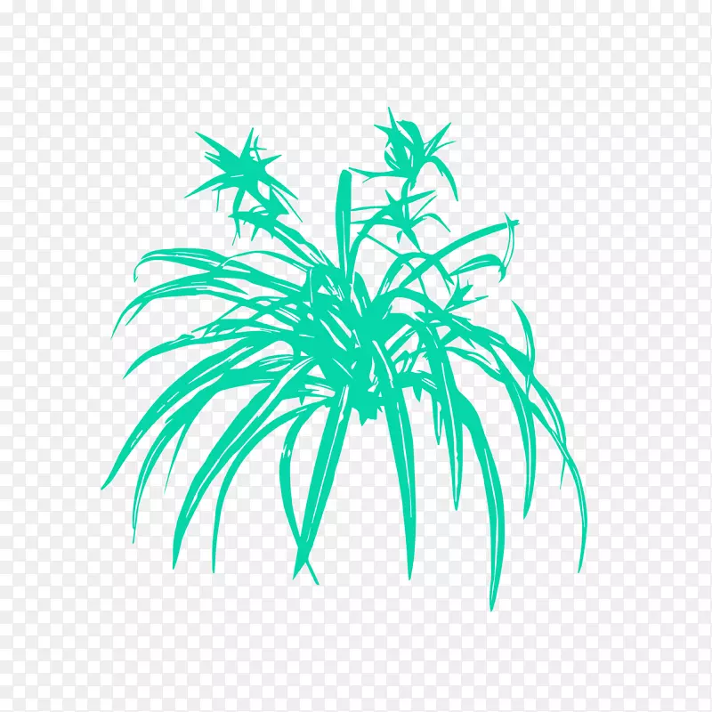 棕榈树、绿藻、肉质植物、叶植物