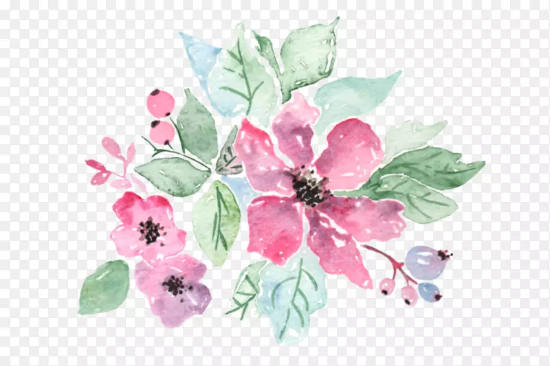 水彩画：花卉水彩画png图片剪贴画插画