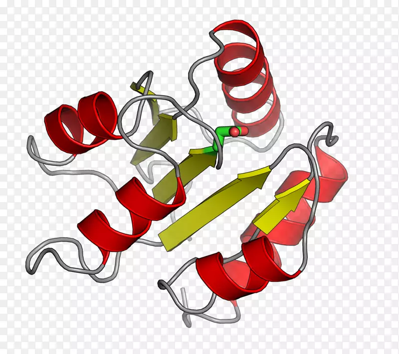 反应调节剂组氨酸激酶双组分调节系统组氨酸磷转移域蛋白