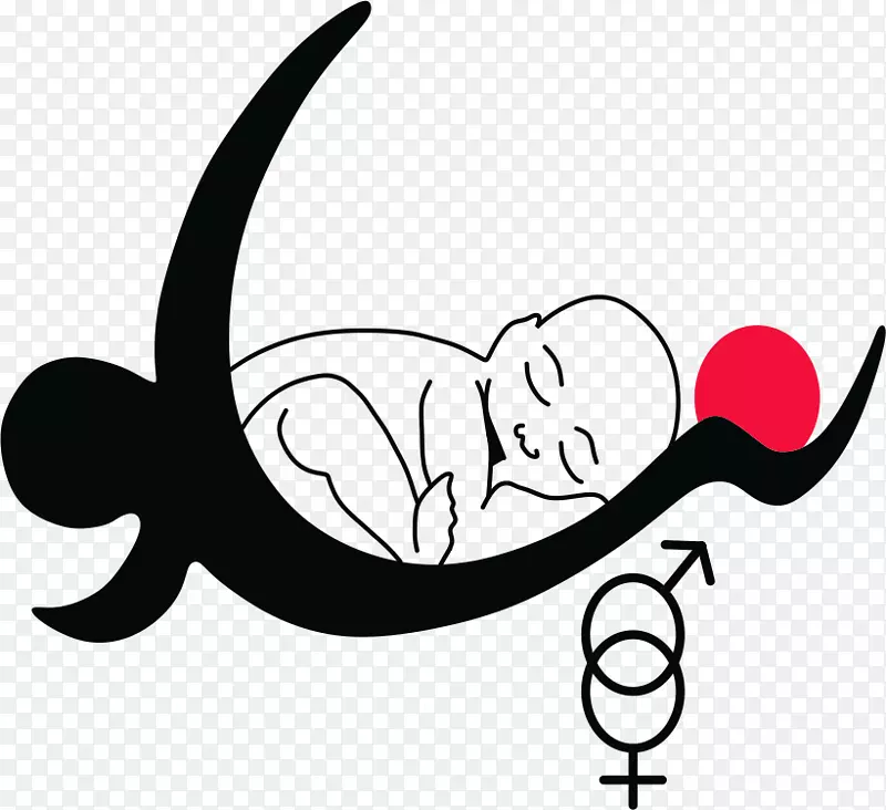 妊娠助产婴儿产前护理分娩-妊娠