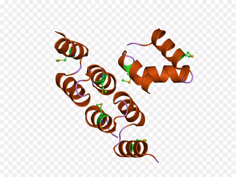 cbl蛋白ube2l3泛素连接酶