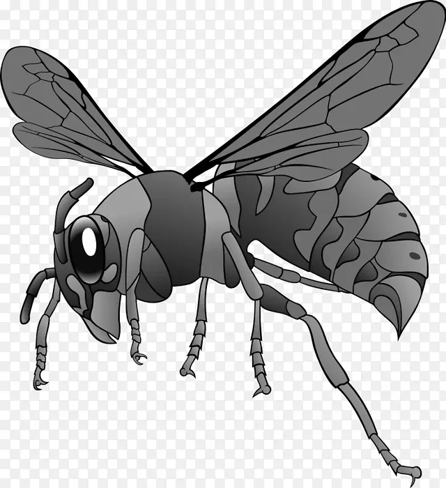 黄蜂可伸缩图形剪辑艺术-蜜蜂