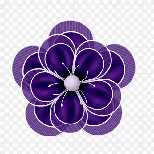 花瓣紫罗兰花图案紫色