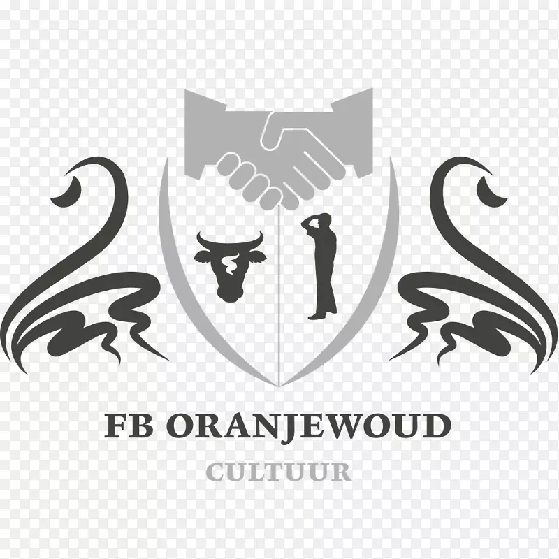 文章题目：Stichting Fb Oranajoud L.k.c.诺南堡