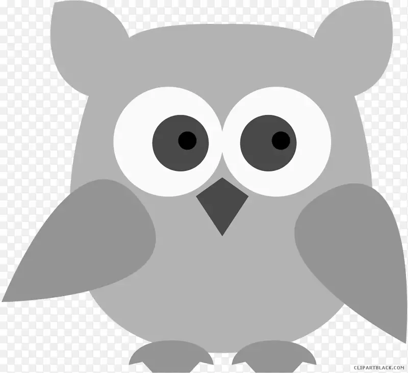 OWL剪贴画png图片图像插图-OWL白色