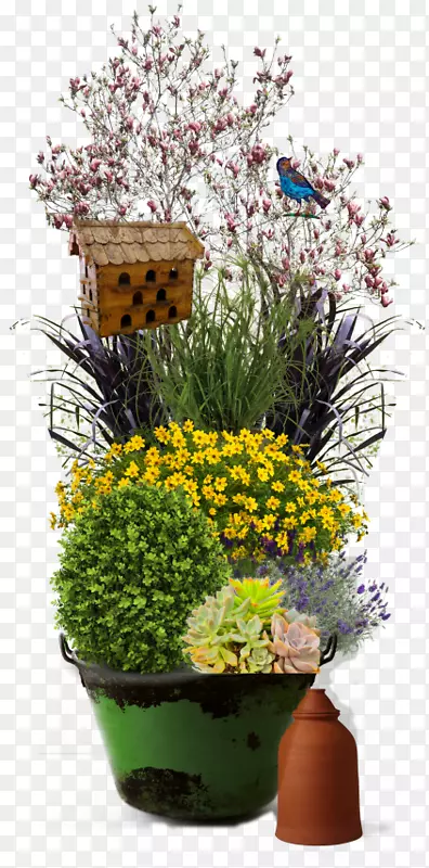 花盆容器花园植物.植物