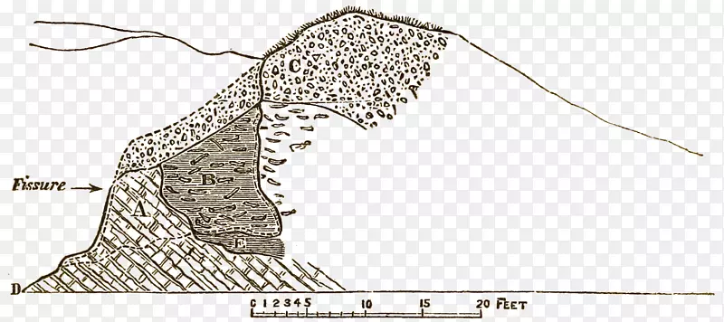 鞋画/m/02csf线艺术-伦敦病理学会