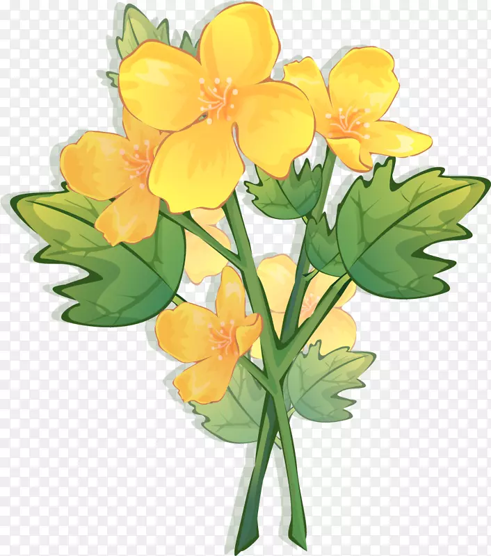 花卉设计花画框黄色彩色花