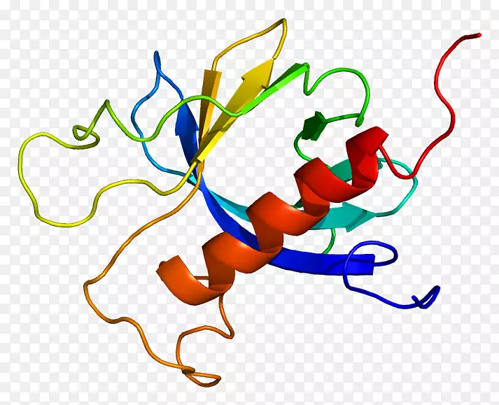 蛋白激酶c基因