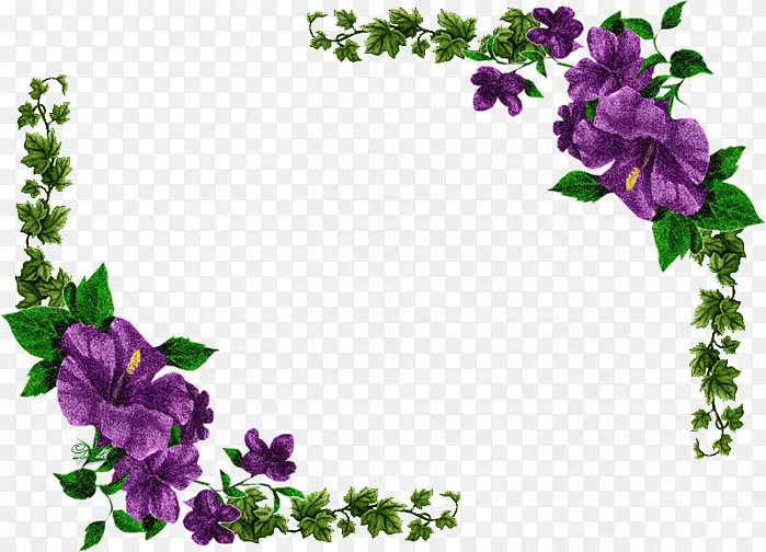 花型花紫色花环紫罗兰