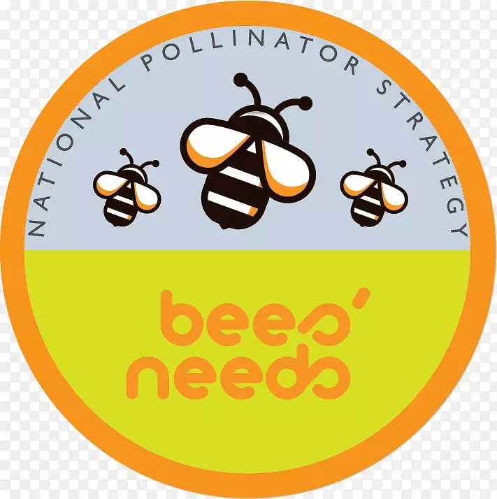 资讯蜜蜂爱尔兰乡村管理计划昆虫