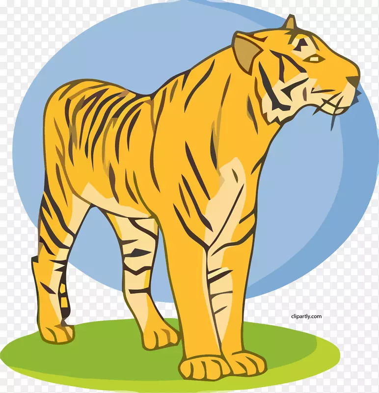 虎夹艺术狮子插图开放部分-老虎