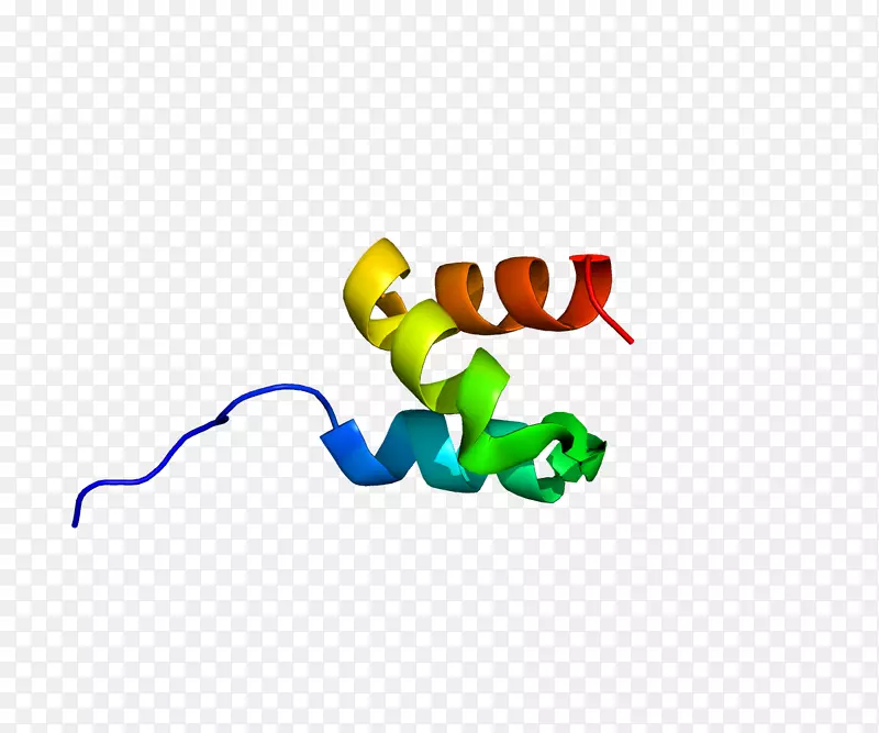 HUWE1泛素连接酶蛋白依赖源
