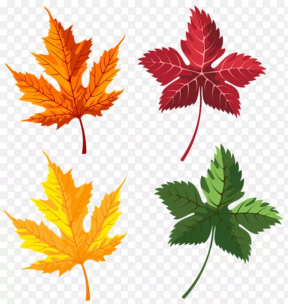 png图片剪贴画秋季图像图形.叶子彩纸