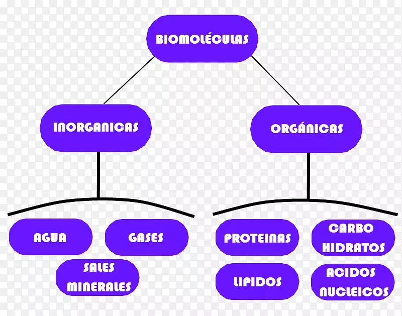 生物分子化学有机体生命