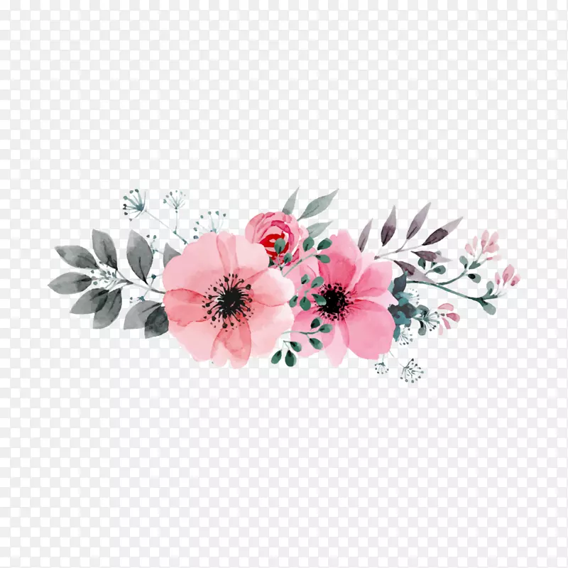 花卉设计水彩：花卉图像图.花