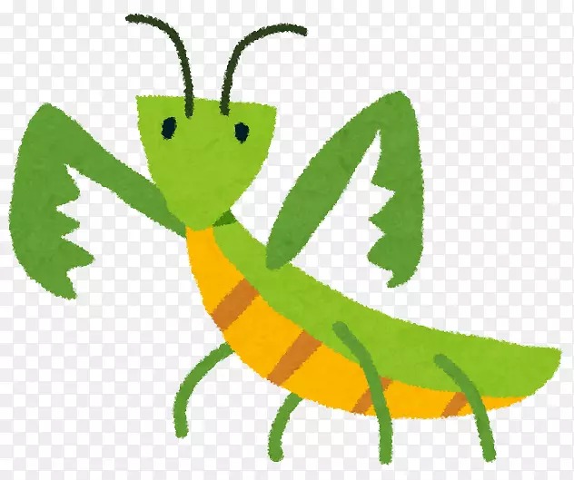 螳螂昆虫插图儿童摄影.昆虫