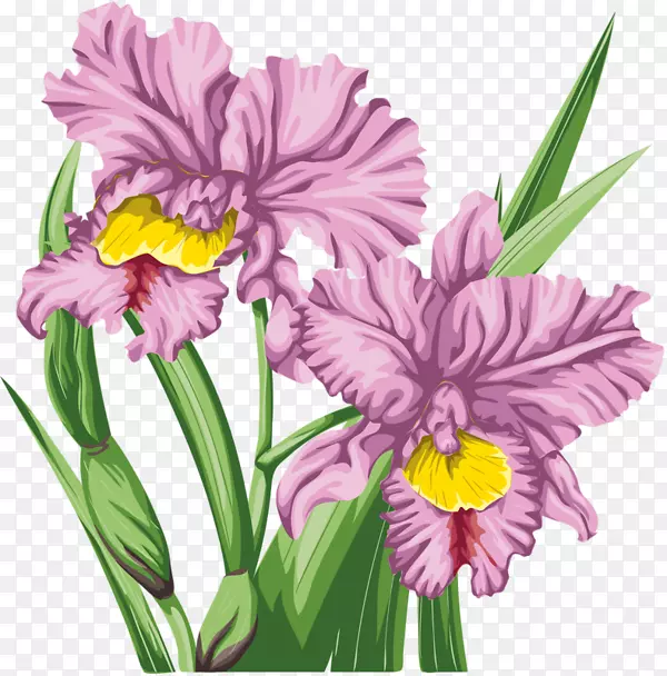 花卉设计切花兰花形象