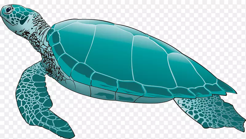 海龟爬行动物形象龟