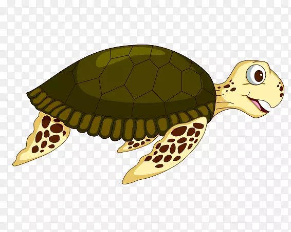 海龟塘龟动物-德尼兹