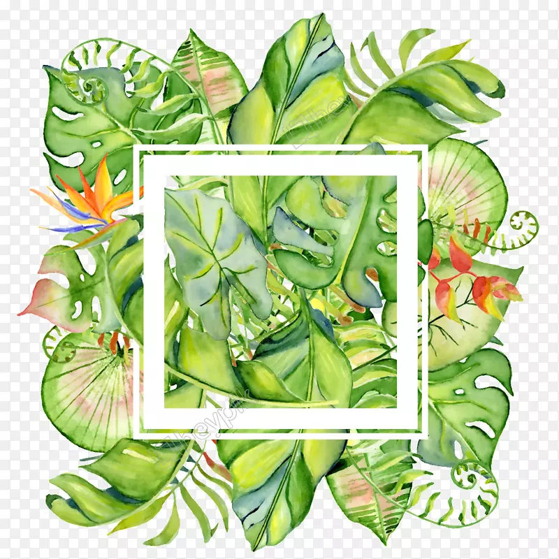图形t恤叶水彩画袋手绘花边框架