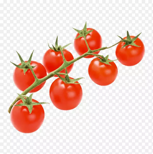 李子番茄灌木番茄汁果汁