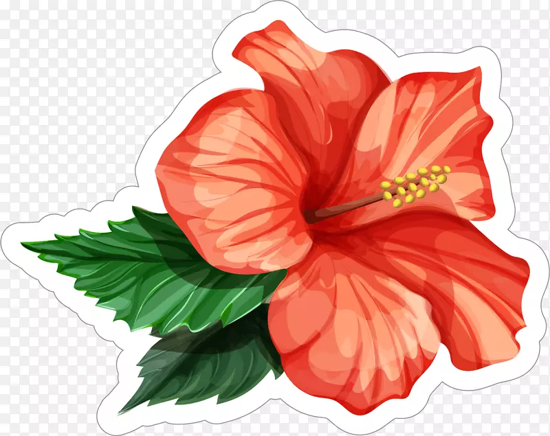 图迷迭香插图-三朵黑色红色芙蓉花
