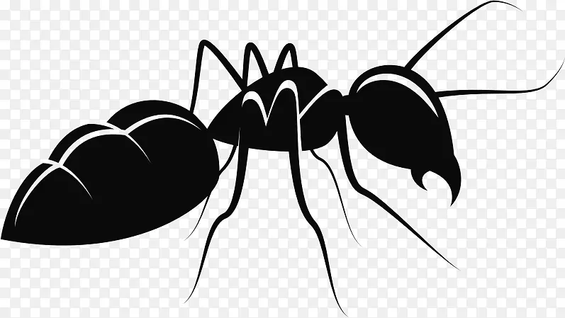 蚂蚁昆虫图形剪贴画.蚁形轮廓