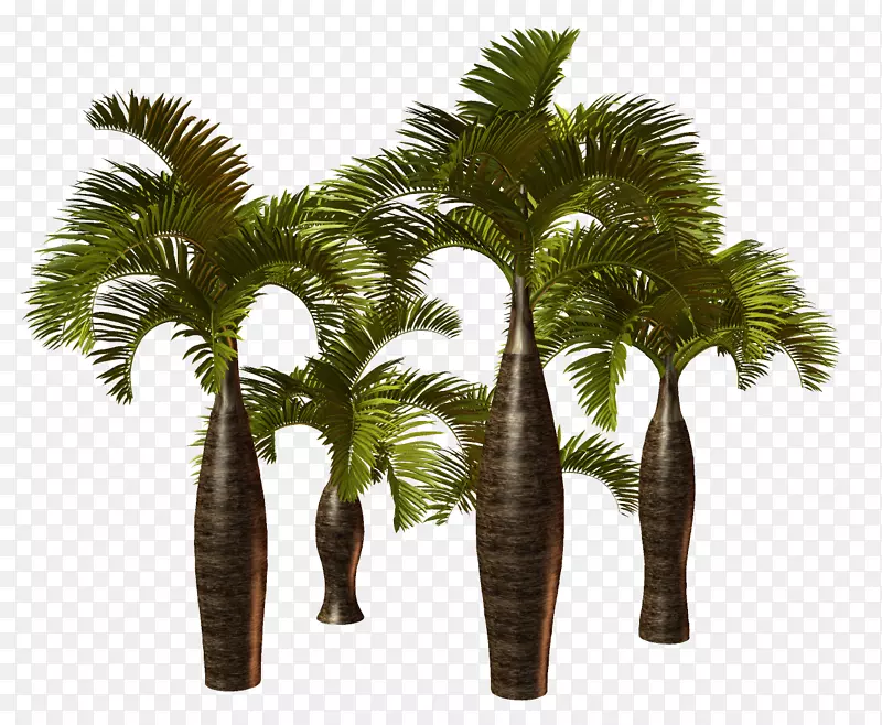 棕榈树剪贴画加利福尼亚掌上png图片.树