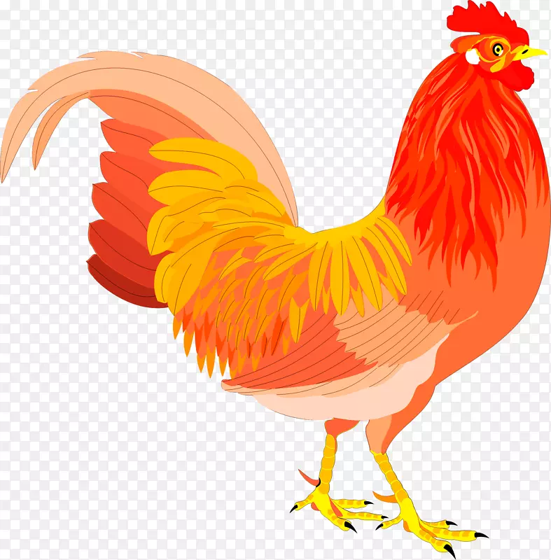 鸡公鸡夹艺术鸟png图片.鸡