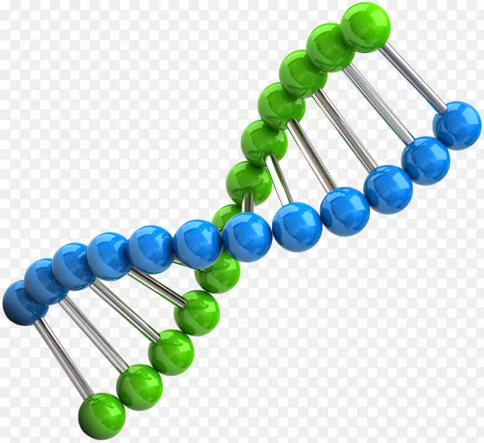 染色体遗传学dna剪贴画生物学