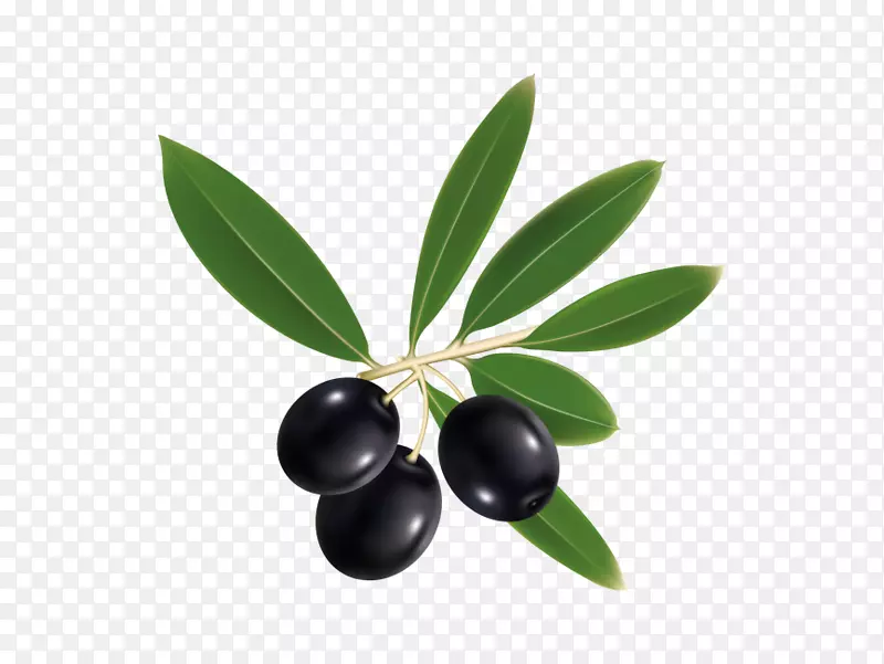 地中海美食橄榄油剪贴画-橄榄