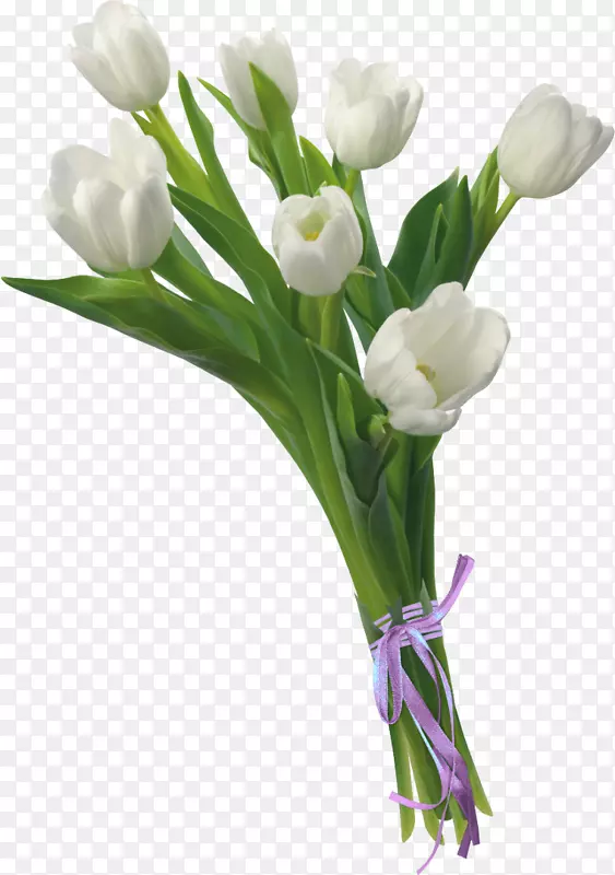 花卉设计png图片图像花瓶-花卉