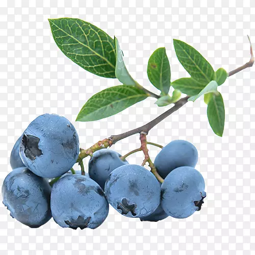 蓝莓果香水化妆品欧德洗漱-蓝莓
