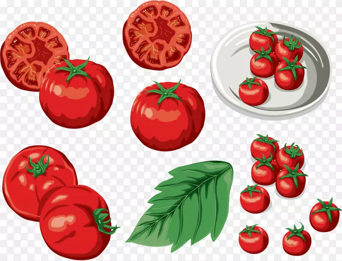 布什番茄食品剪贴画png图片.番茄