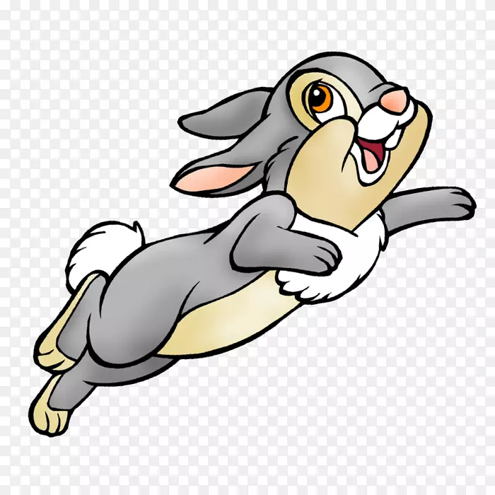 剪贴画野兔展跳伞-兔子