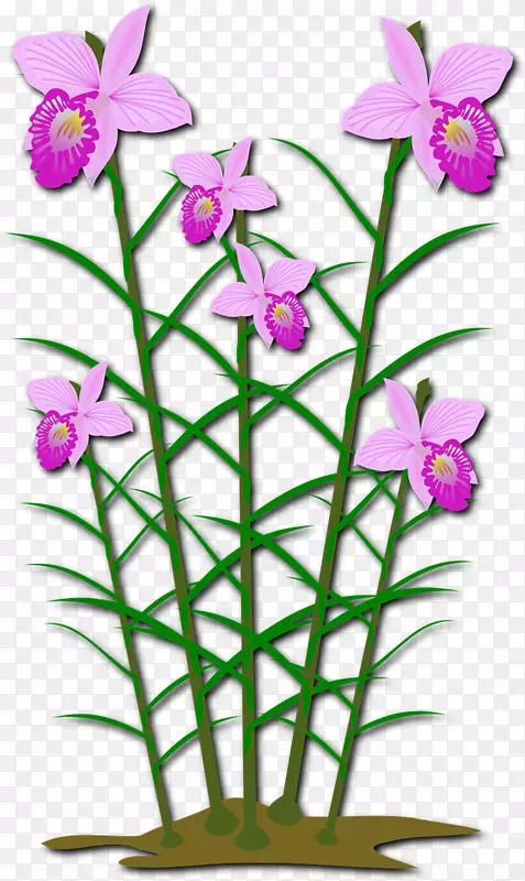 兰花艺术插花植物开放部分png图片.植物